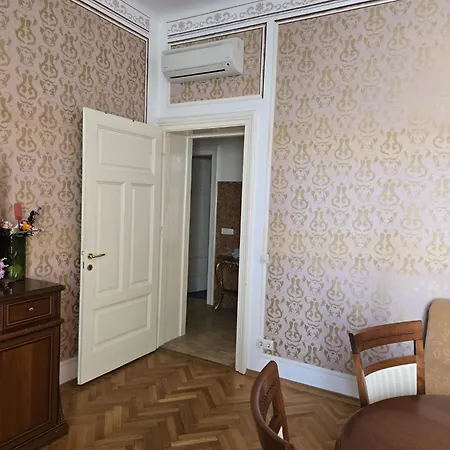 Kamelija - Center Minute To The オパティヤ