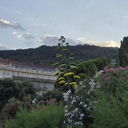 Kamelija - Center Minute To The Daire Opatija