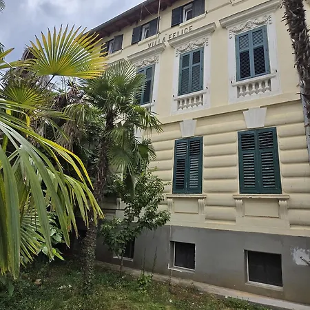 Kamelija - Center Minute To The * Opatija