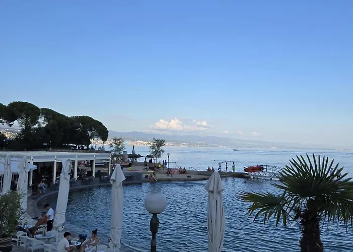 Kamelija - Center Minute To The Daire