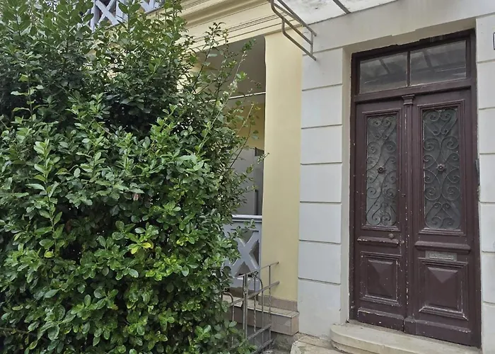 Kamelija - Center Minute To The Daire *