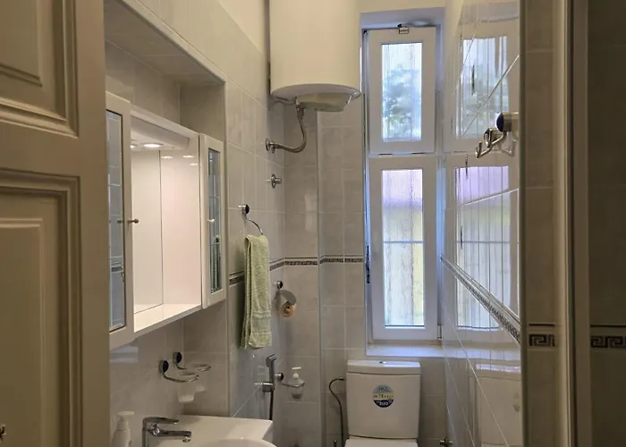 Kamelija - Center Minute To The