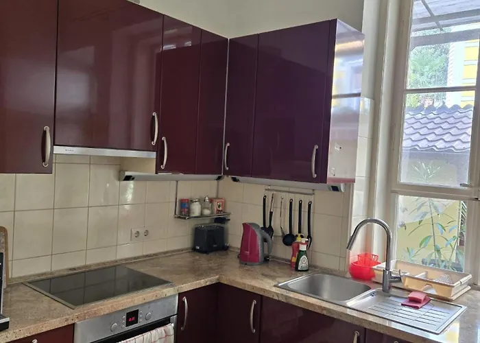 Kamelija - Center Minute To The * Opatija