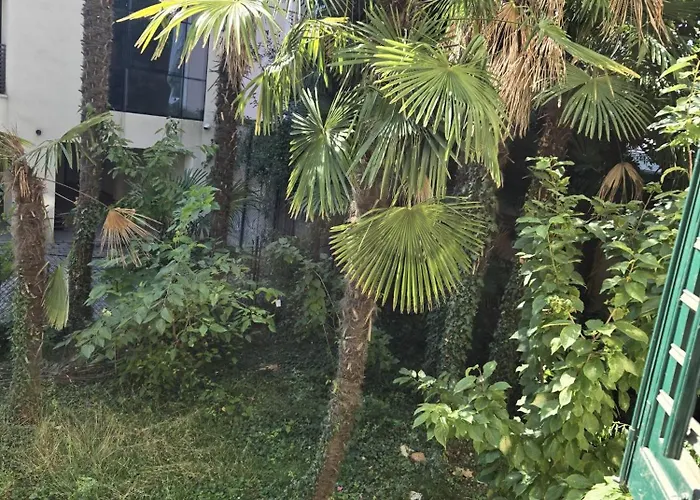 Daire Kamelija - Center Minute To The