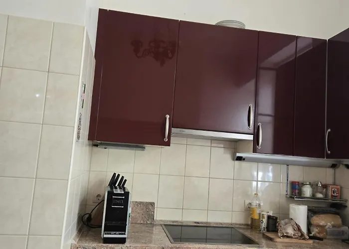 Kamelija - Center Minute To The *