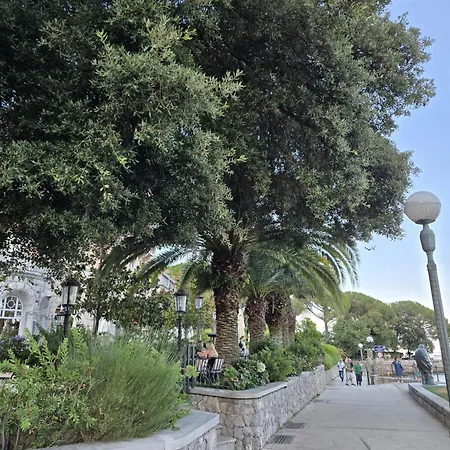 Kamelija - Center Minute To The דירה *