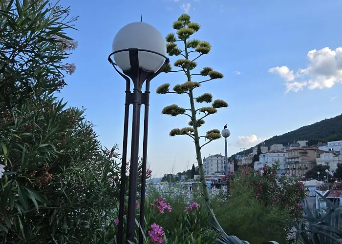 Apartamento Kamelija - Center Minute To The